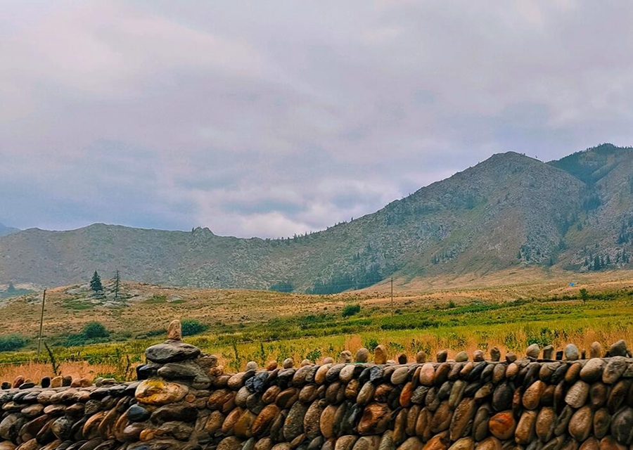 Explore fascinating autumnal vistas in NW China's Xinjiang