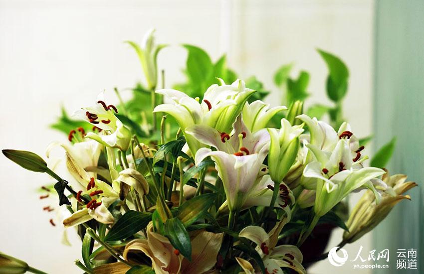 Discovering Yunnan's eight best-known beautiful flowers: lily