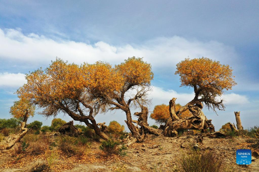 China today: ecological civilization