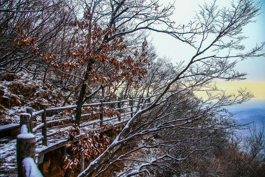 Yuntai Mountain in Central China's Henan: Shimmering silver snows adorn scenes of red autumnal leaves
