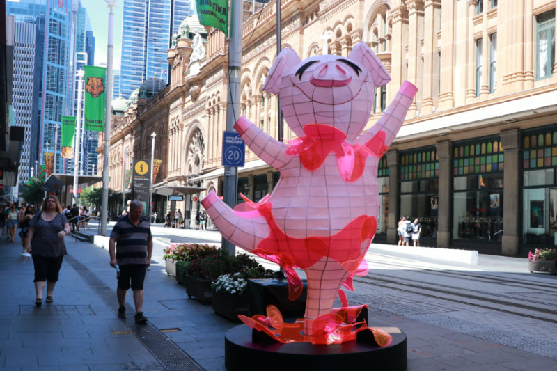 Sydney streets decorated with zodiac lanterns to celebrate Chinese New Year