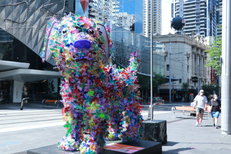 Sydney streets decorated with zodiac lanterns to celebrate Chinese New Year