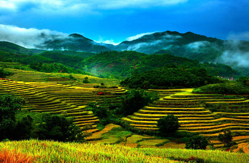 Sound ecological environment brings wealth to local residents in Wuzhishan city in Hainan