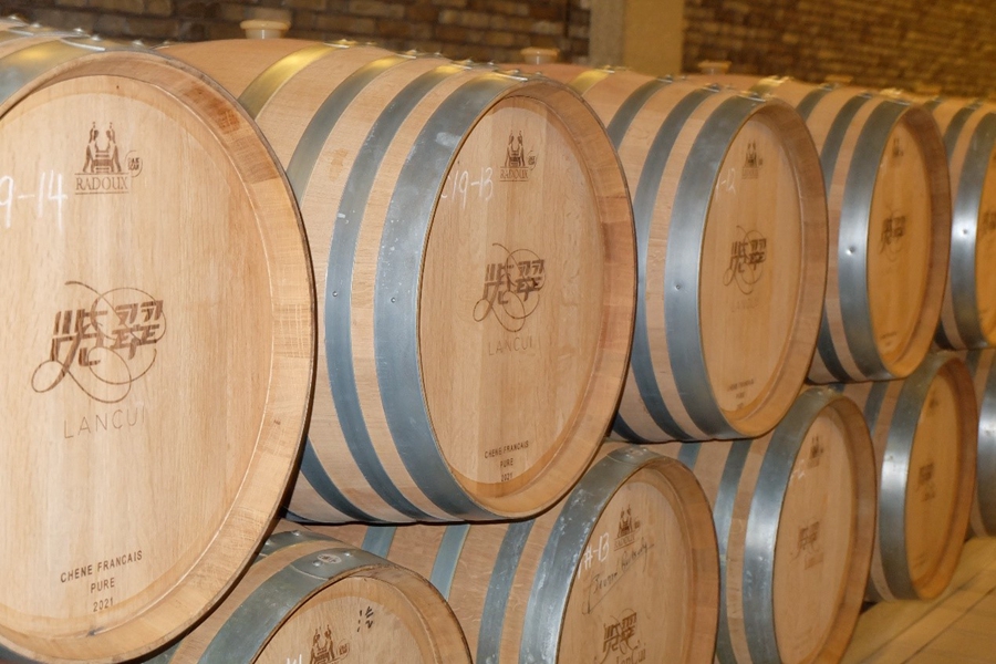 In pics: NW China’s Ningxia turns barren land into vineyards and wineries