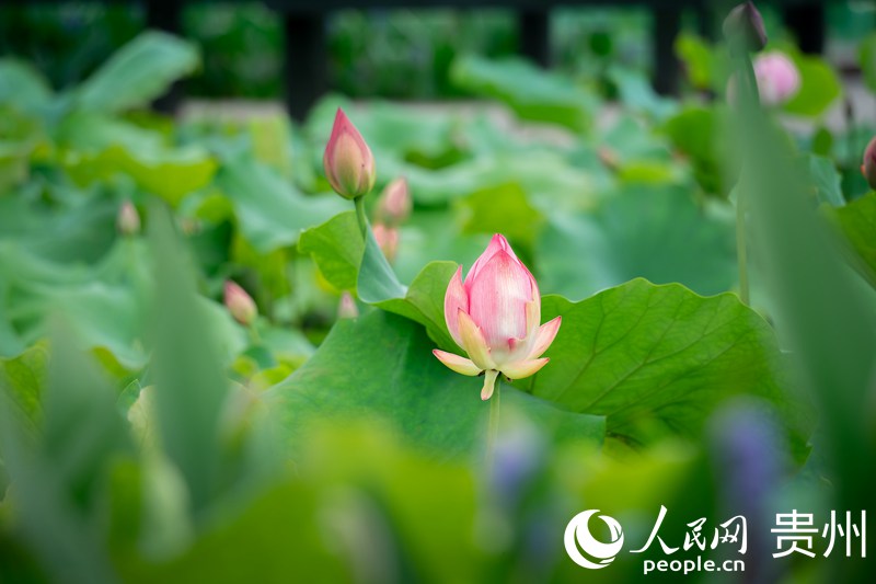 View of picturesque village in SW China’s Guizhou