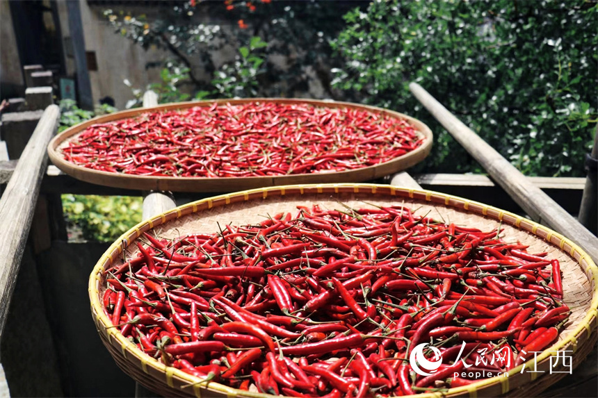 Villagers dry crops in the sun in Wuyuan, E China's Jiangxi