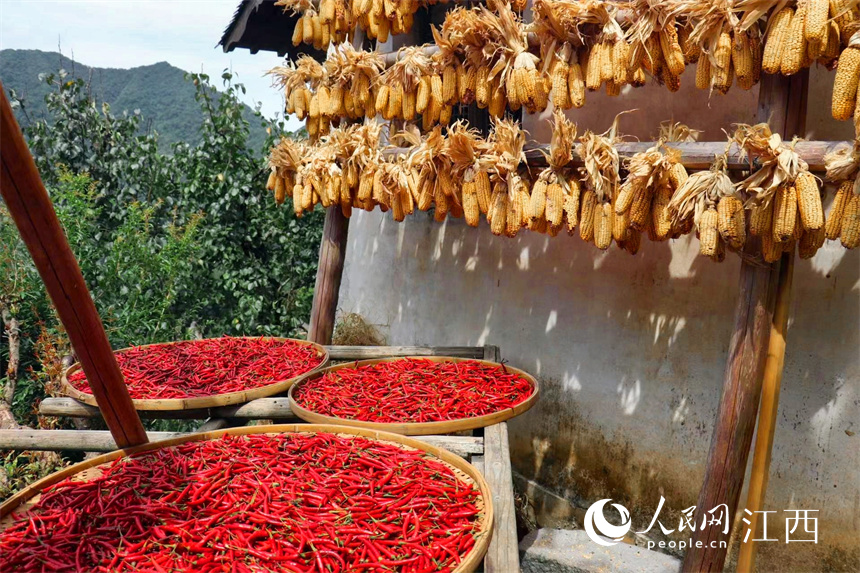 Villagers dry crops in the sun in Wuyuan, E China's Jiangxi