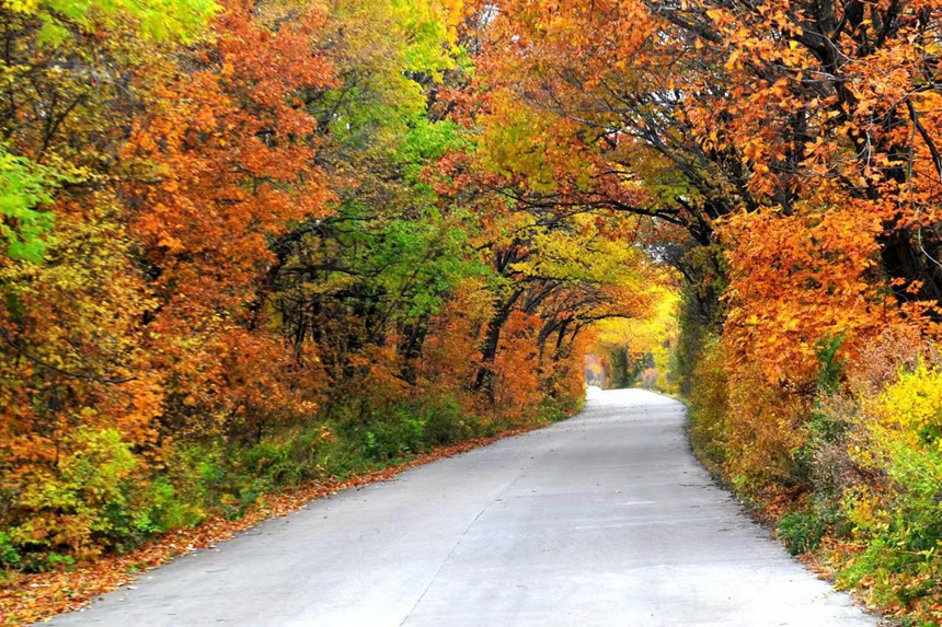Splendid autumn scenery in Jixi, NE China's Heilongjiang