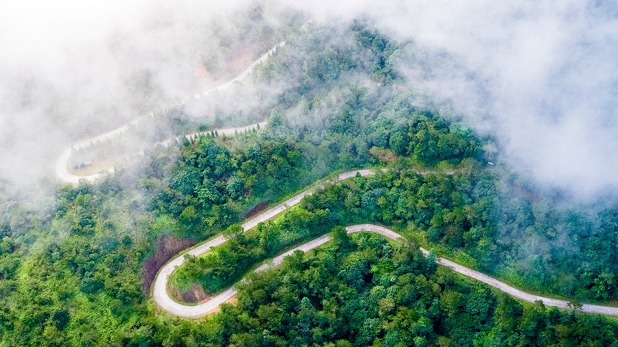Three more cities in S China's Guangdong designated 'national forest cities'