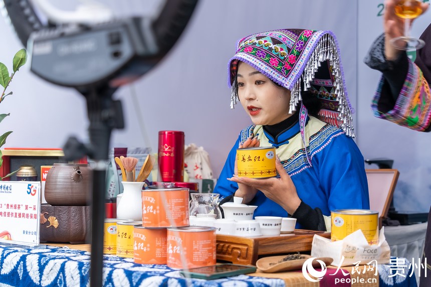 Tea harvesting kicks off in SW China’s Guizhou