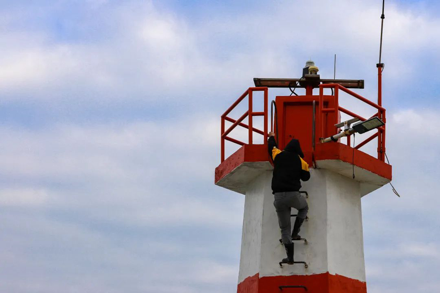County in SE China's Fujian sees progress in protection of migratory birds