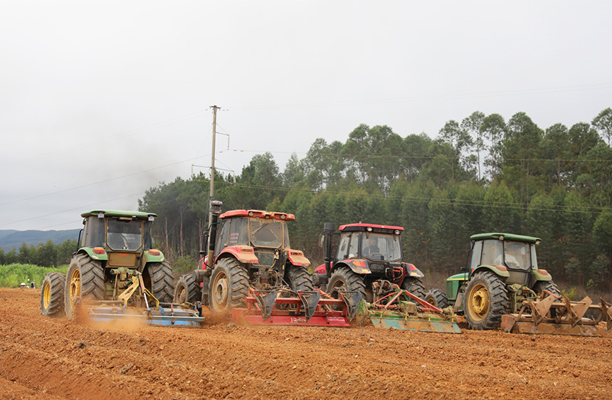 Agricultural machinery helps farmers plant sugarcane efficiently in S China's Guangxi