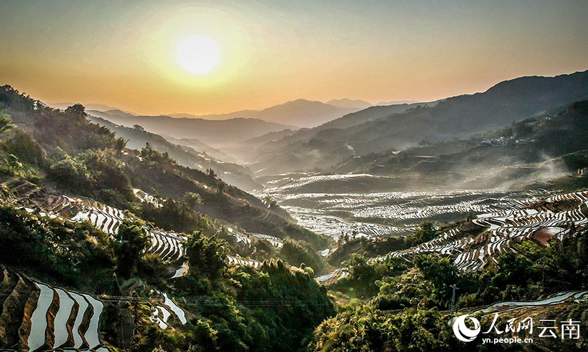 Spring farming gets going on SW China's Yunnan rice terraces
