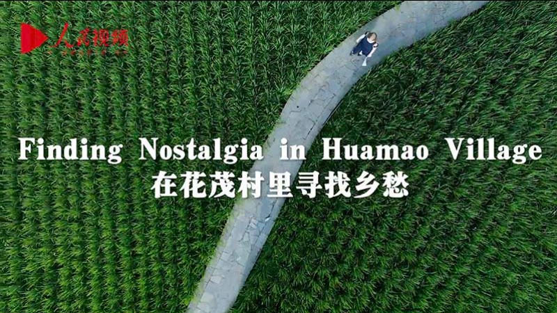 Nostalgia and vitality merge in small village in SW China's Guizhou