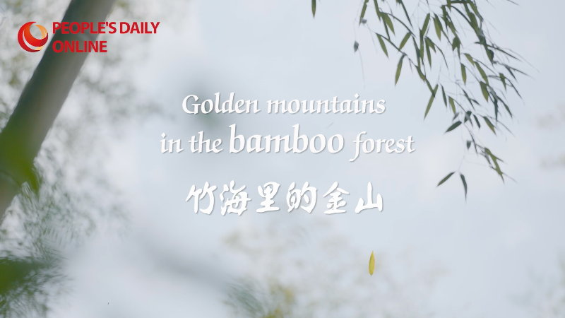 Golden mountains in bamboo forest