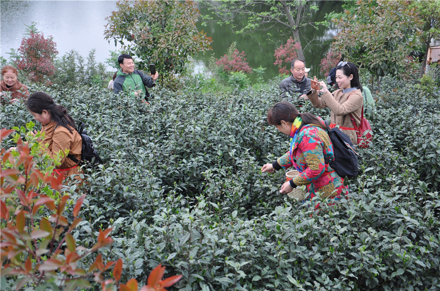 Town in E China’s Anhui boosts rural revitalization with tea industry