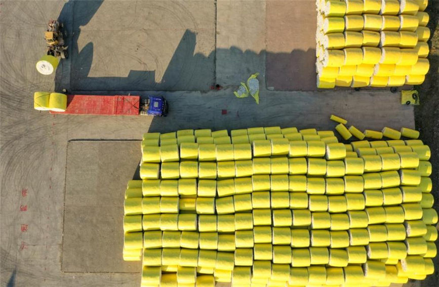 Farmers in Hutubi, NW China's Xinjiang sell newly-harvested cotton to processing companies