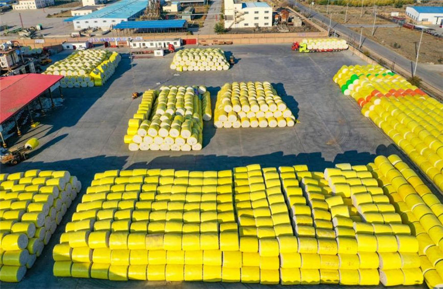 Farmers in Hutubi, NW China's Xinjiang sell newly-harvested cotton to processing companies