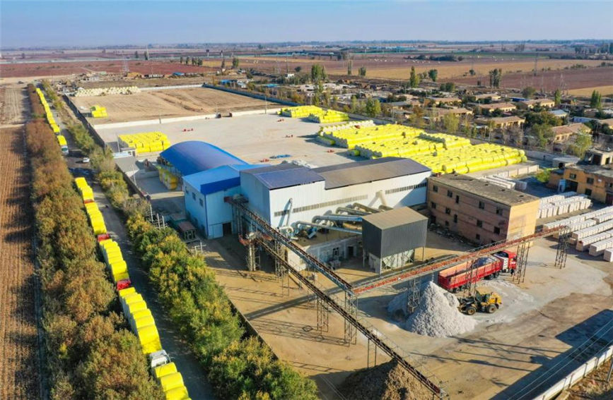 Farmers in Hutubi, NW China's Xinjiang sell newly-harvested cotton to processing companies