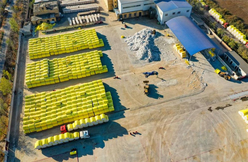 Farmers in Hutubi, NW China's Xinjiang sell newly-harvested cotton to processing companies