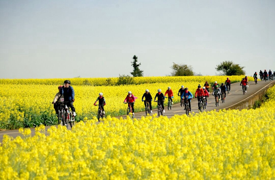 China welcomes flower appreciation season