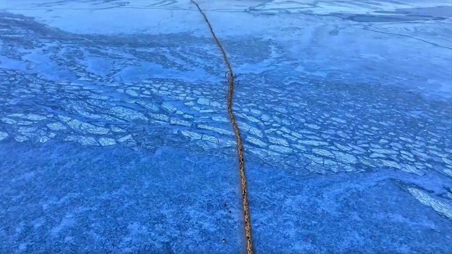 Picturesque sheep herding scene on frozen lake in Xizang