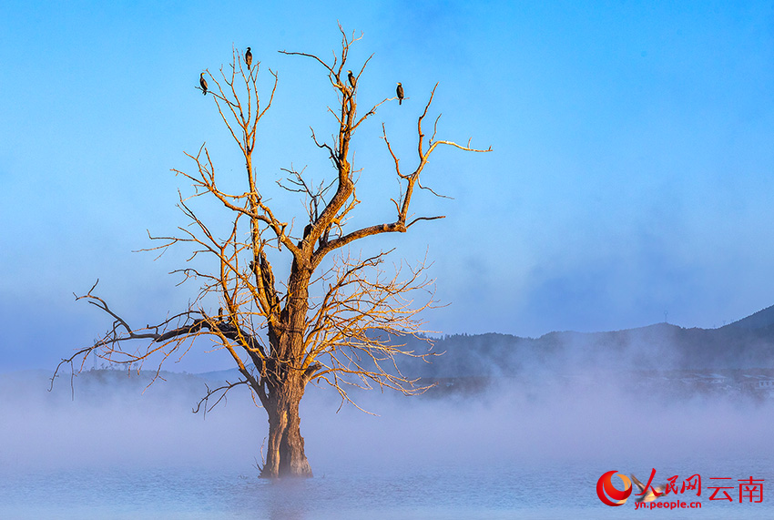 7th Winter Int'l Bird Watching Festival held in Shangri-La, SW China's Yunnan