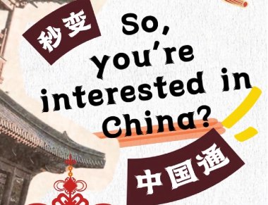 So, you're interested in China | Instant delivery of anything, including the kitchen sink!