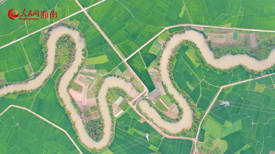 Explore spring vibes of a 36-curve stream in Haikou, S China's Hainan