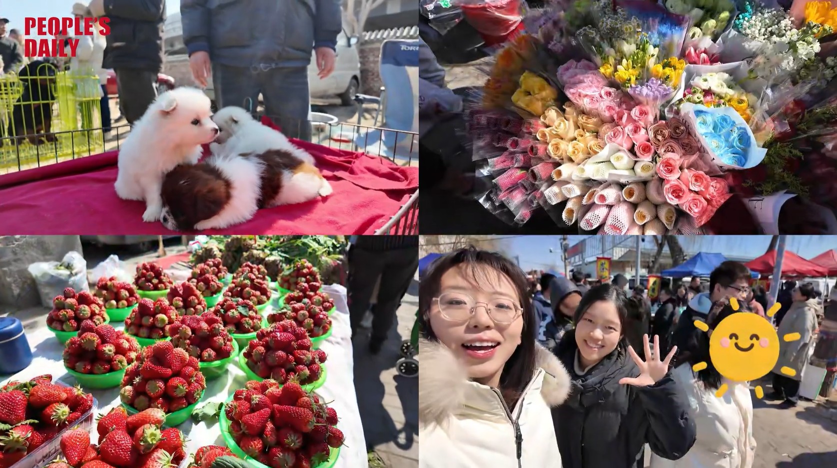China Everything Vlog | Taste for adventure at Beijing's Shahe Market