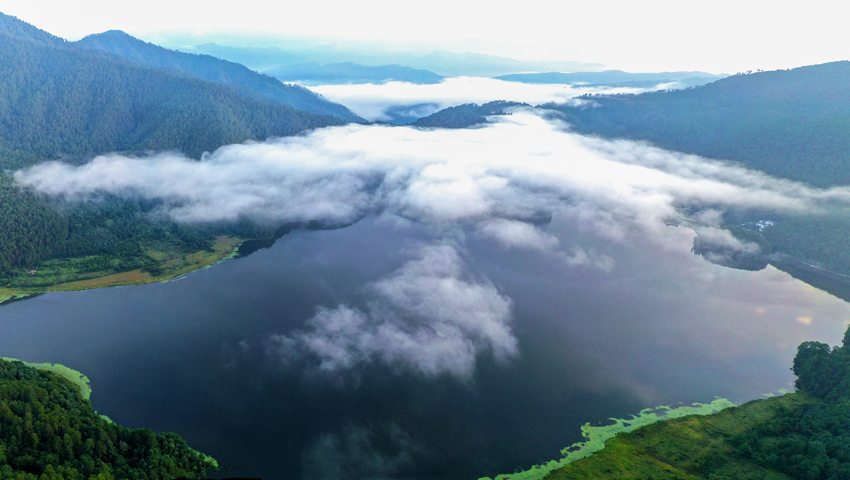 Yunnan snub-nosed monkeys flourish in nature reserve in SW China