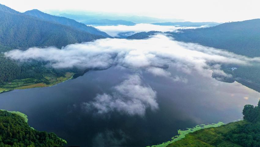 Yunnan snub-nosed monkeys flourish in nature reserve in SW China