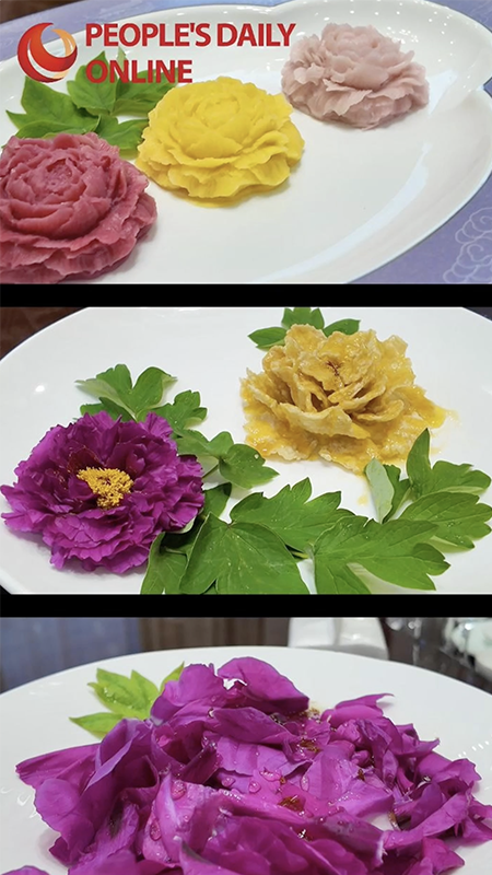 A feast for the senses in Heze! Russian visitor savors a "Peony Banquet"