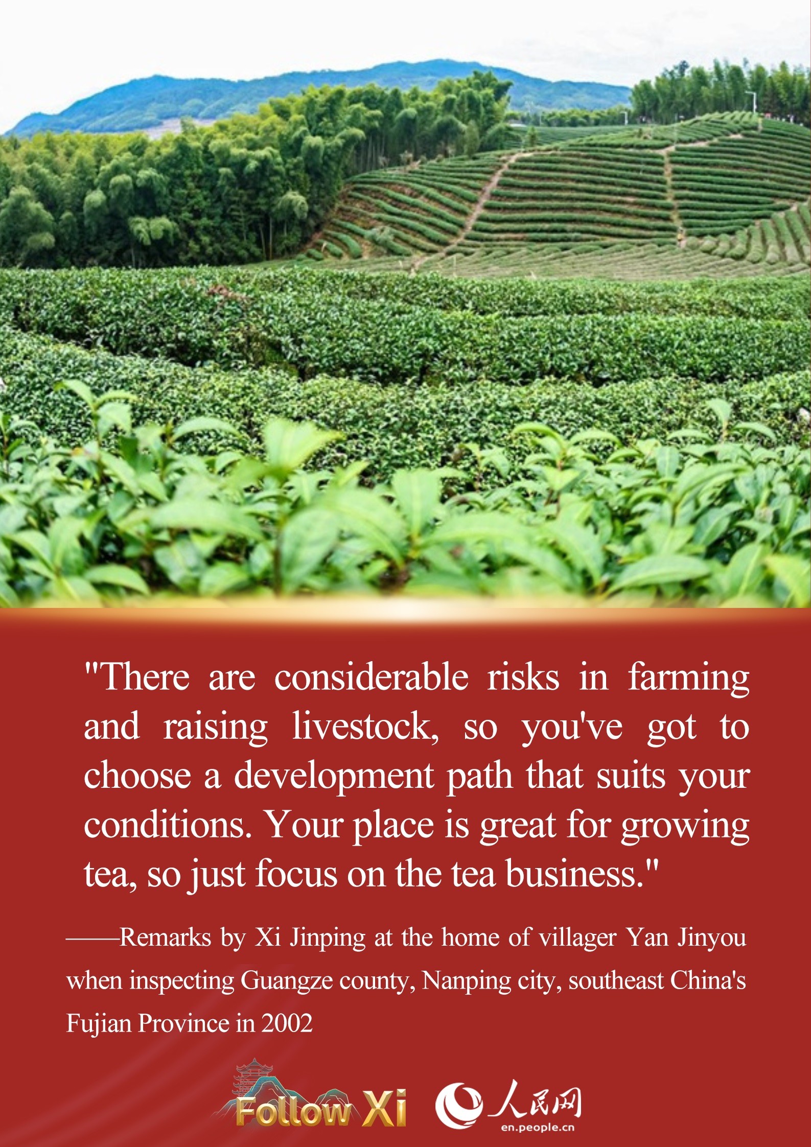 Xi Jinping's story with Fujian tea