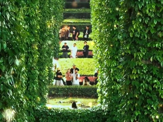 Urban jungle, Chengdu style