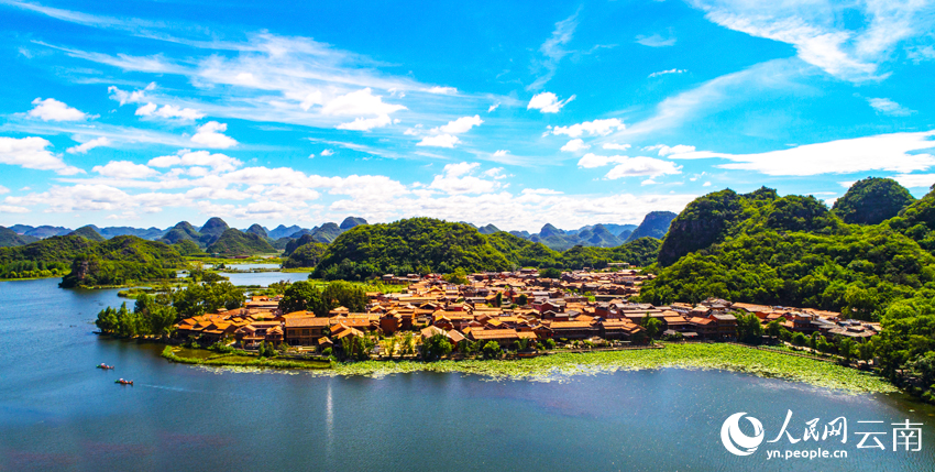 Summer lotus blooms lure tourists to Puzhehei in SW China's Yunnan