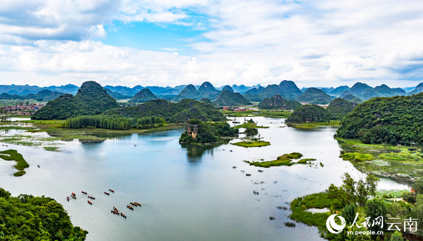 Summer lotus blooms lure tourists to Puzhehei in SW China's Yunnan