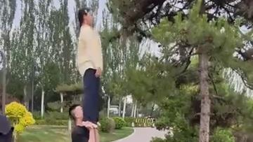 Acrobats retrieve drone from tree