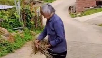 95-year-old climbs tree for a taste of summer