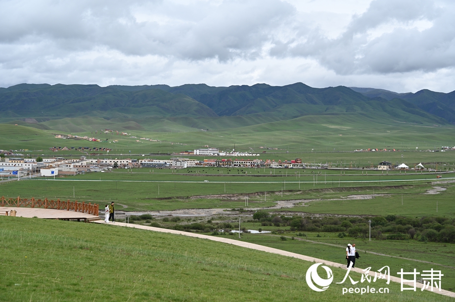 Pastoral summer scene unfolds on Sangke Grassland in Xiahe, NW China's Gansu