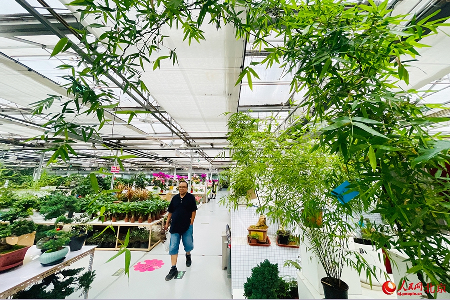Beijing Flower Trading Center blooms into economic, cultural hub