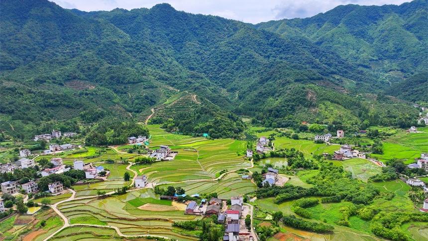 Verdant terraced fields offer picturesque views in Chongyi, E China's Jiangxi