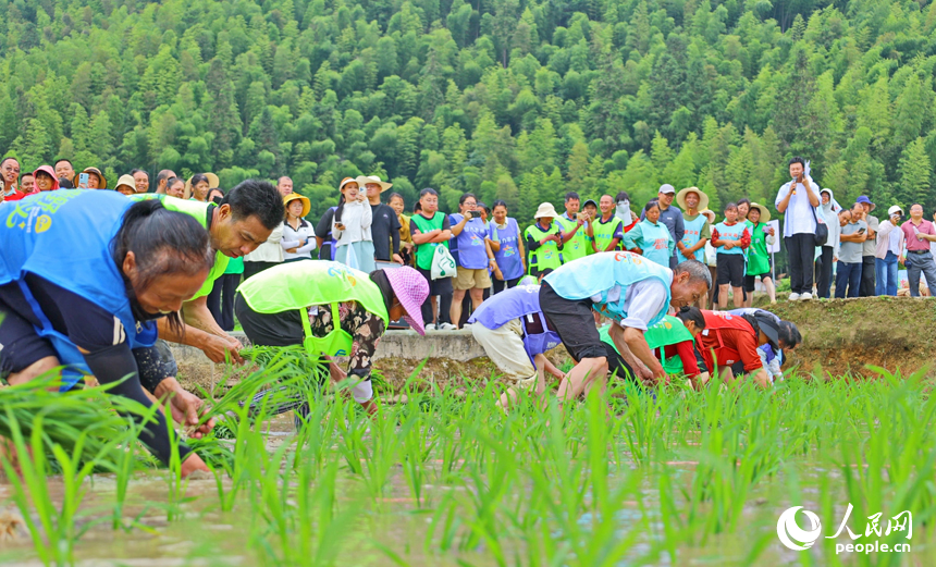 Villagers enjoy fun sports meet in terraced fields in Chongyi, E China's Jiangxi