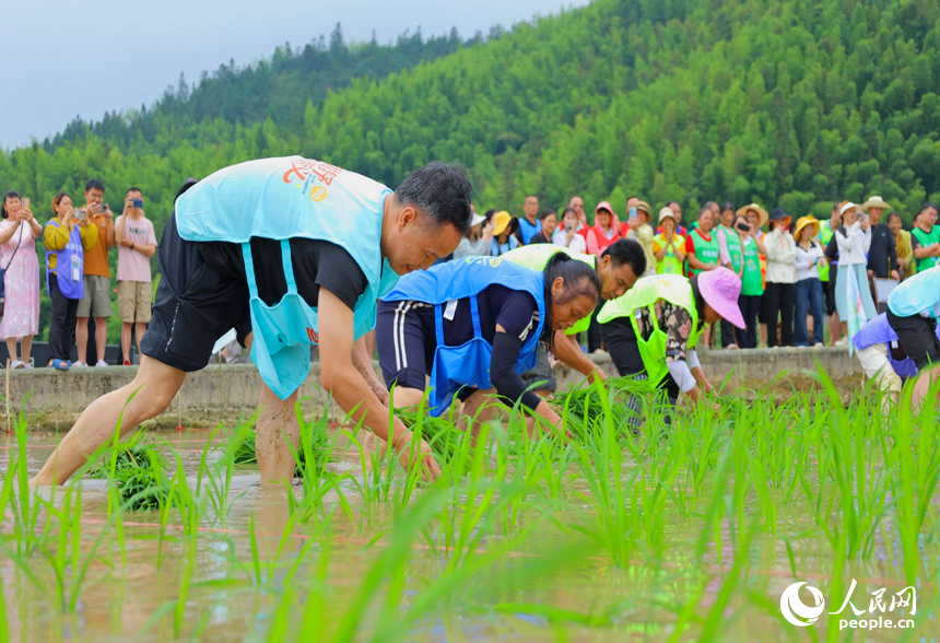 Villagers enjoy fun sports meet in terraced fields in Chongyi, E China's Jiangxi