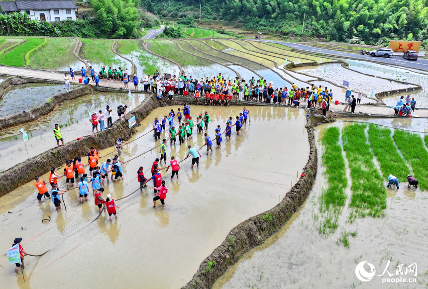 Villagers enjoy fun sports meet in terraced fields in Chongyi, E China's Jiangxi