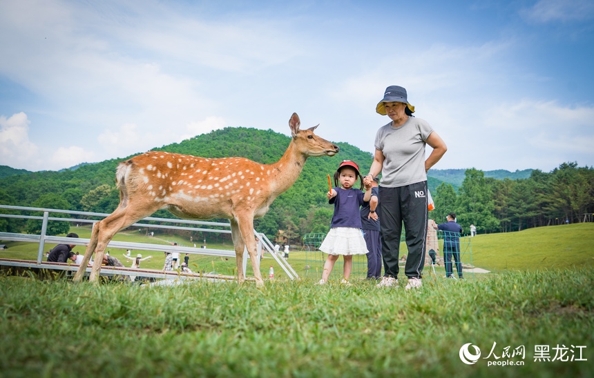 In pics: Deer park in NE China's Heilongjiang attracts visitors