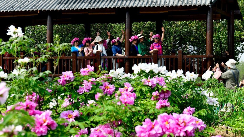 In pics: unique culture of Heze, peony capital of China
