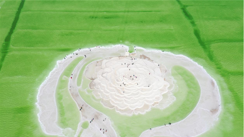 Salt lake industry thrives in NW China's Qinghai