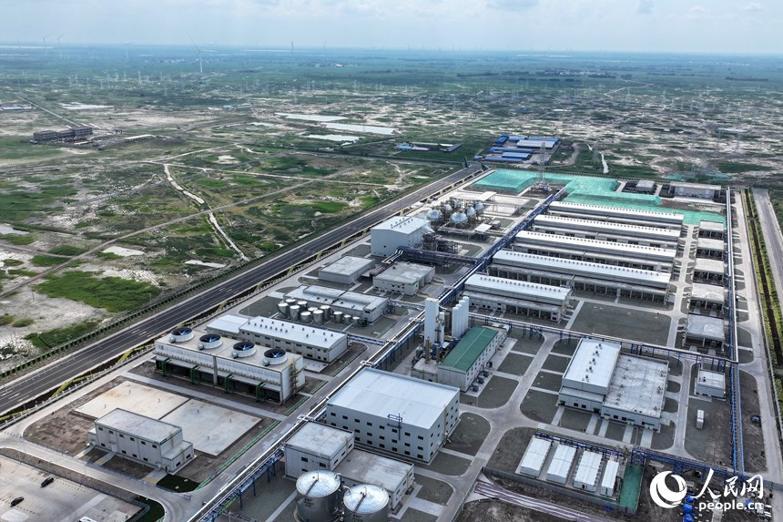 New energy projects spring up in western area of NE China's Jilin