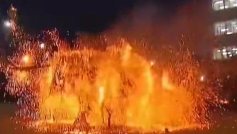 Trending in China | Fire tiger performance